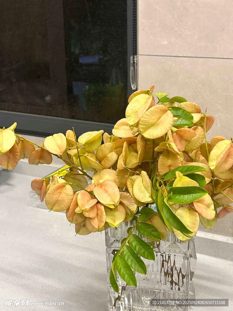 花瓶中盛放的黄色花卉