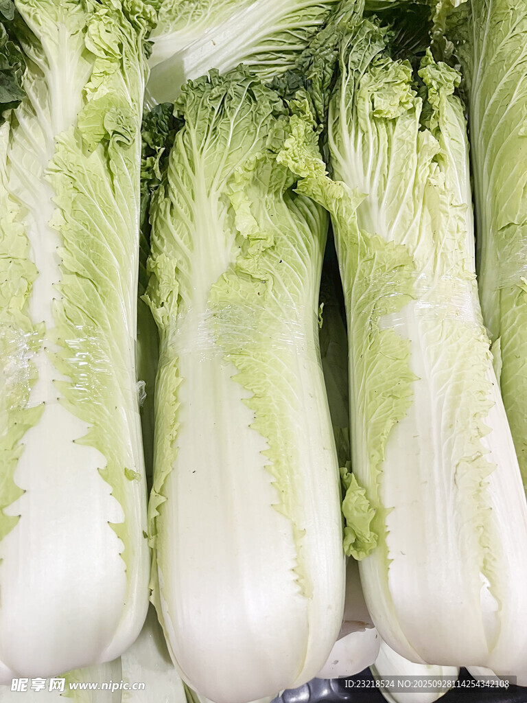 长白青菜