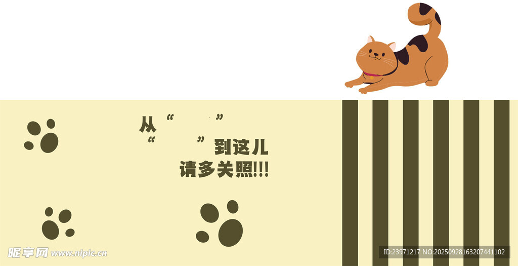 可爱小狗小猫展板