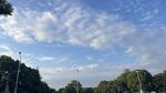 蓝天白云下的绿树风景