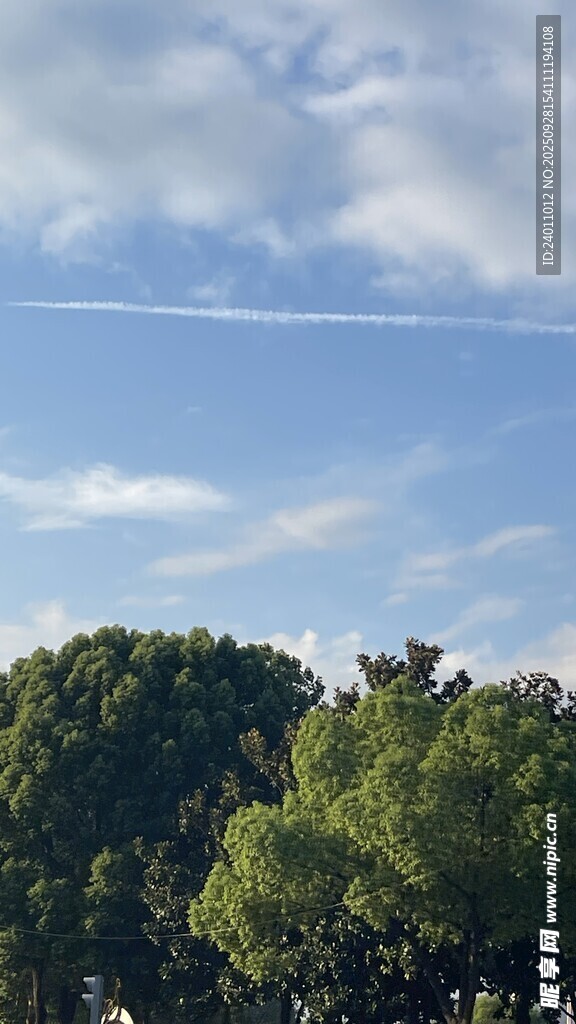 蓝天绿树风景图