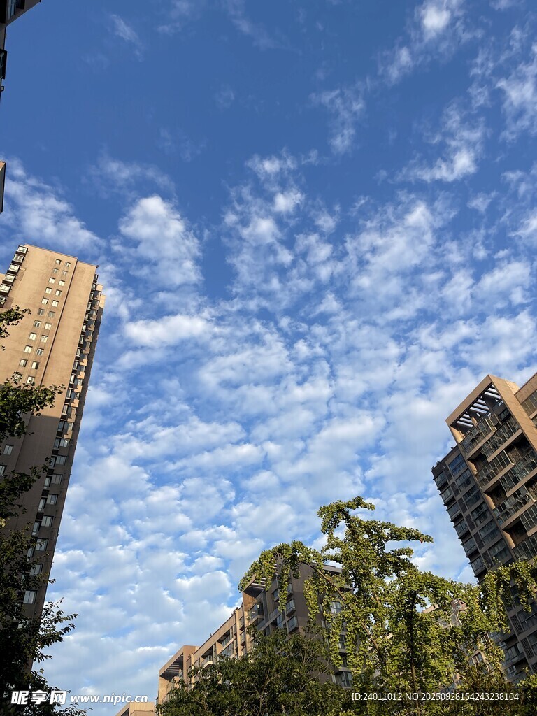 城市上空的蓝天白云景观