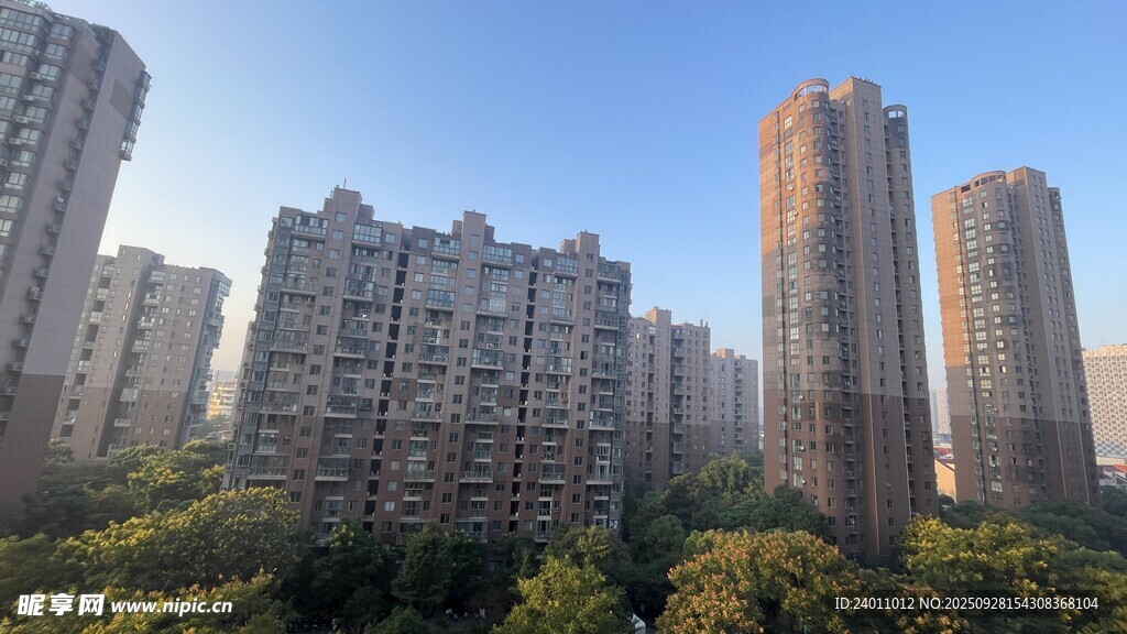 城市高楼与绿树景观