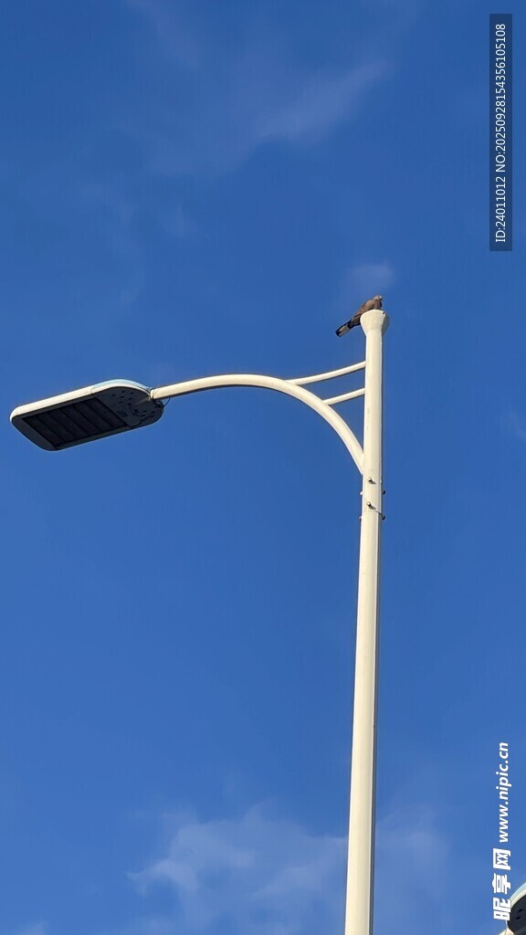 蓝天中的白色路灯