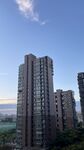 城市高楼景观