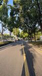 林荫下的平坦骑行道路