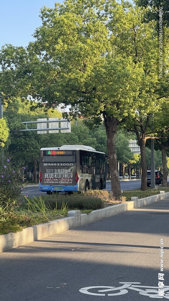 城市自行车道旁的绿树景致
