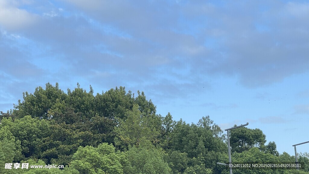 蓝天绿树自然风光图