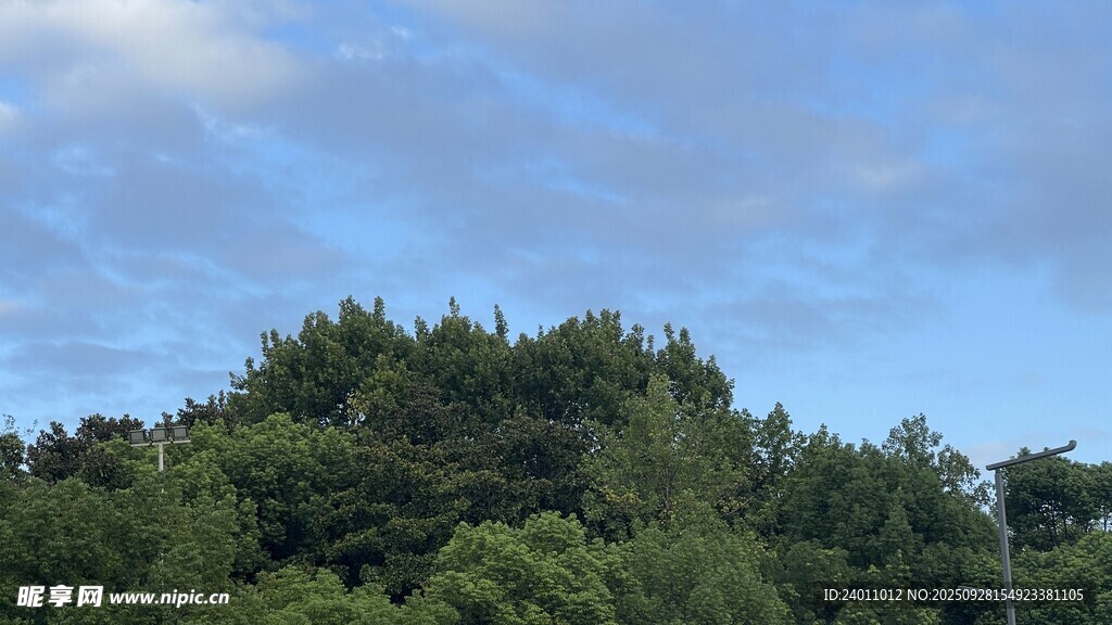 蓝天绿树风景图