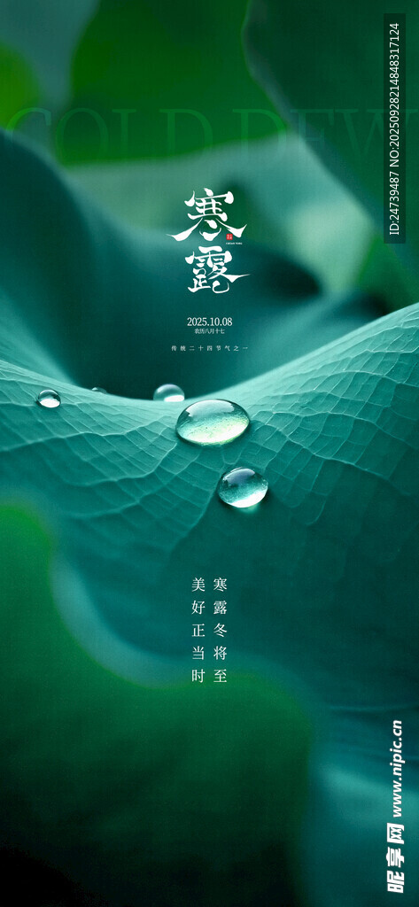 寒露海报
