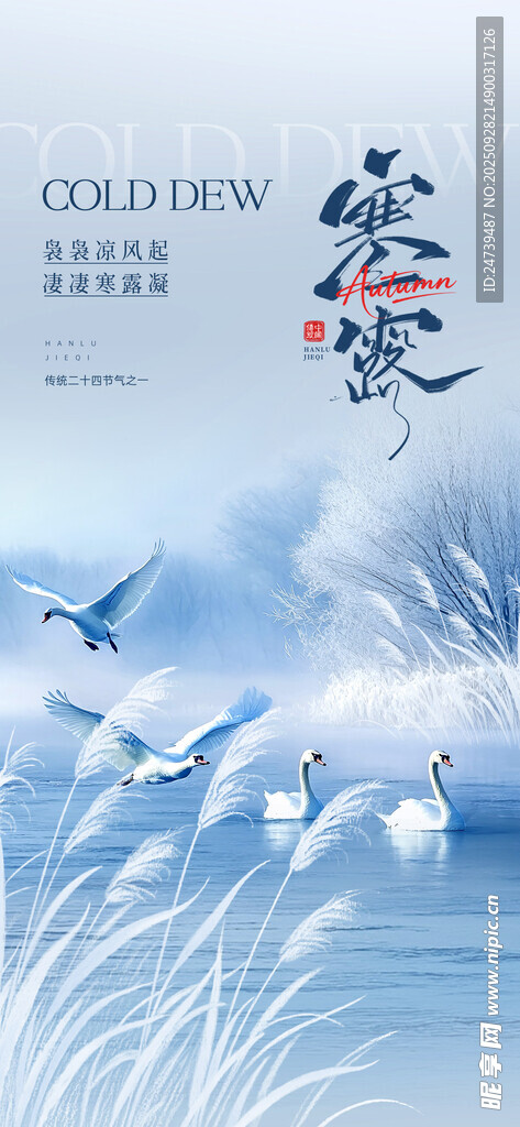 寒露海报