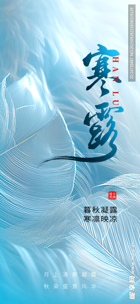 寒露海报
