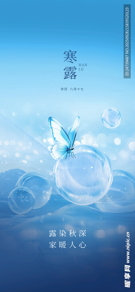 寒露海报
