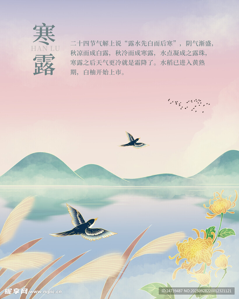 寒露海报