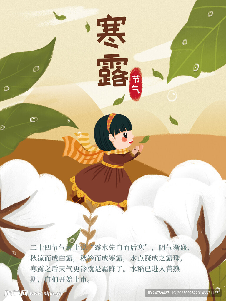 寒露海报 