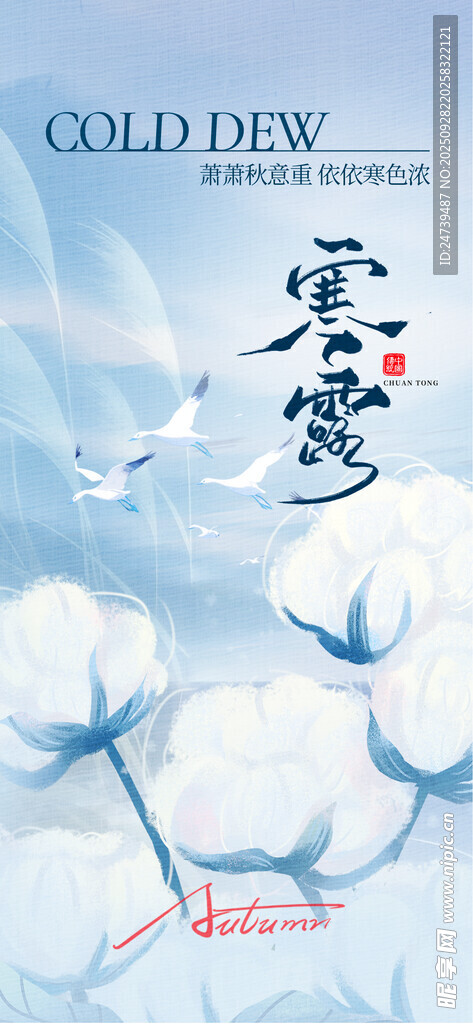 寒露海报