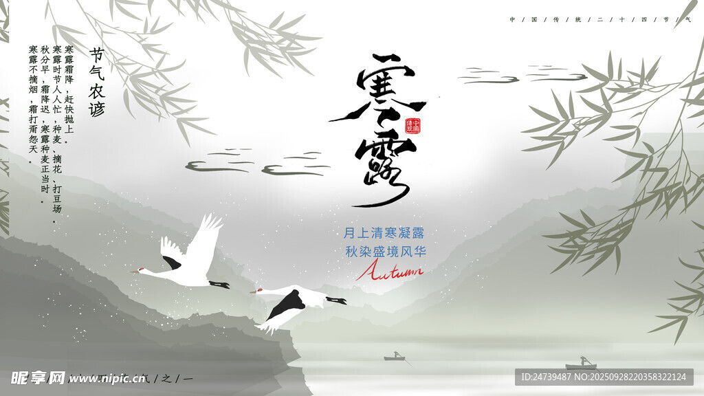 寒露海报