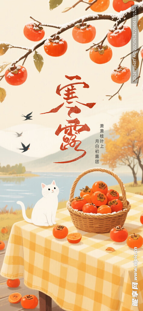 寒露海报