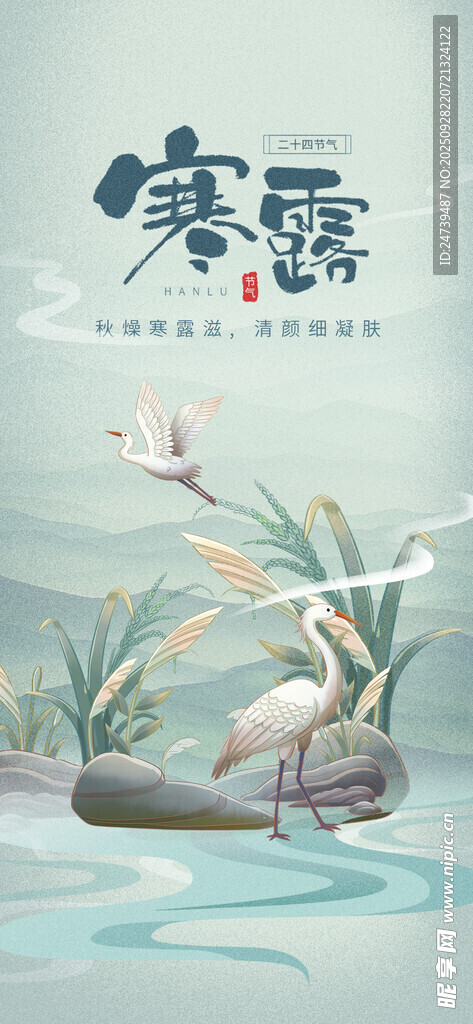 寒露海报