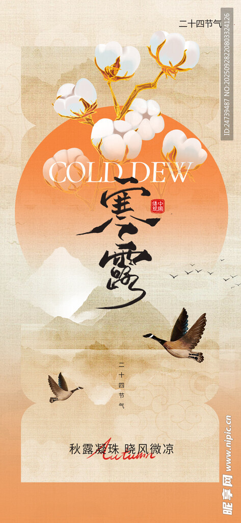 寒露海报