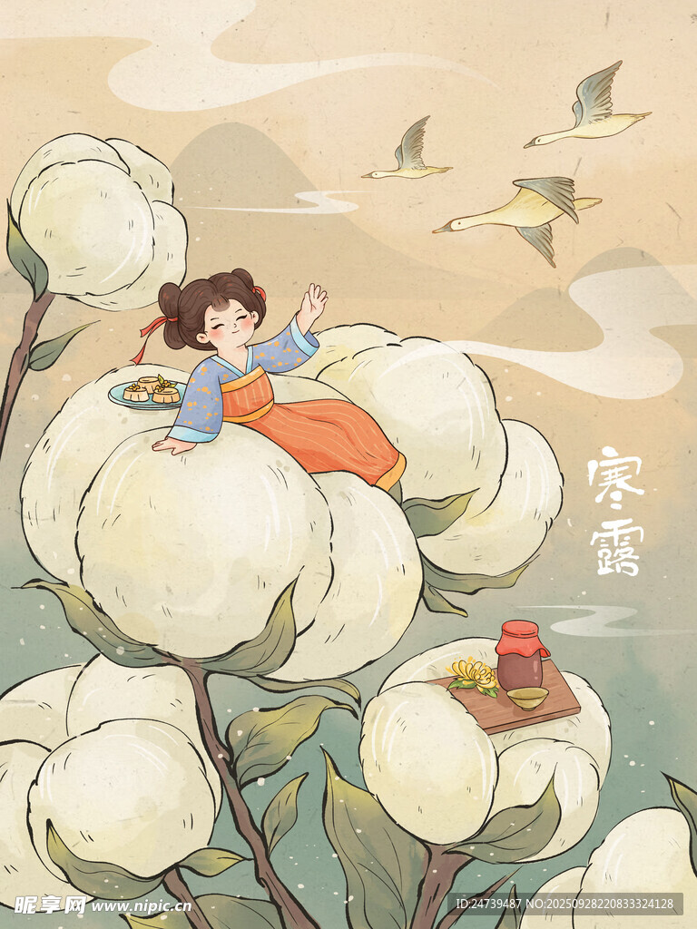 寒露海报