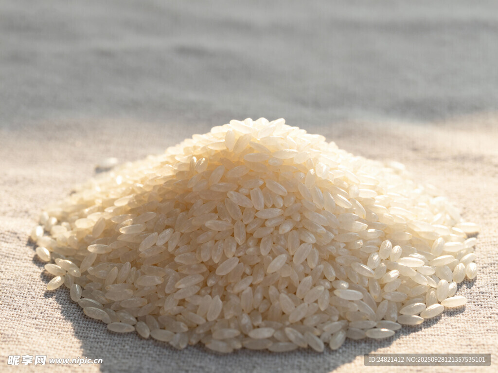 一堆晶莹大米颗粒饱满