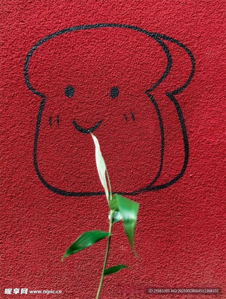 壁画小草