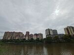 河畔高楼林立的城市景观