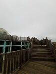 木质栈道通向观景建筑