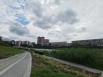城郊道路风景