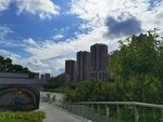 城市绿荫间的高楼景致