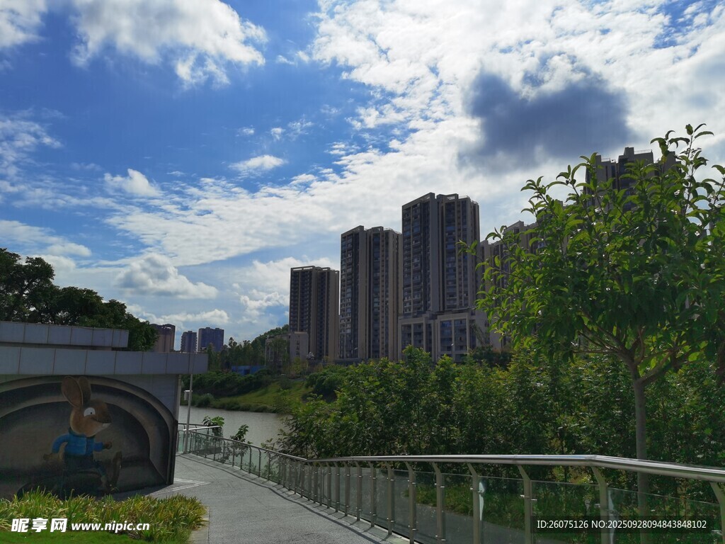城市绿荫间的高楼景致