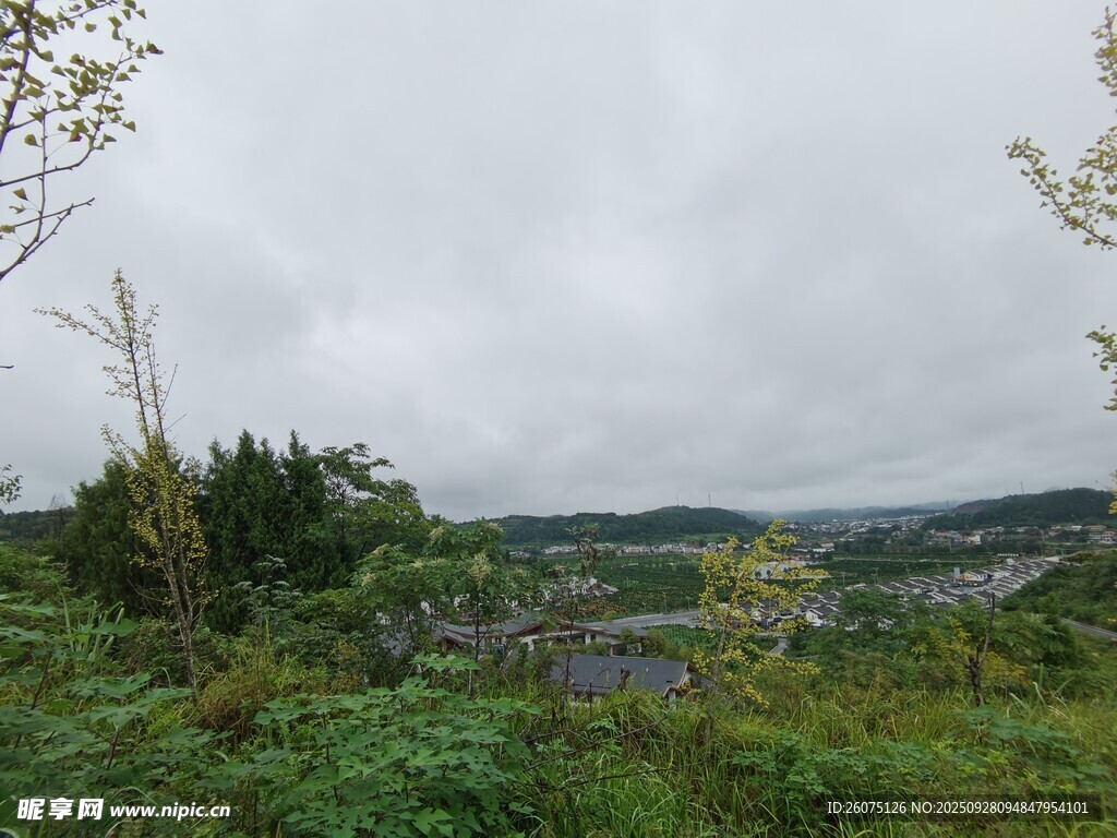 山间绿野景色