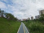 城市中的绿色骑行小路