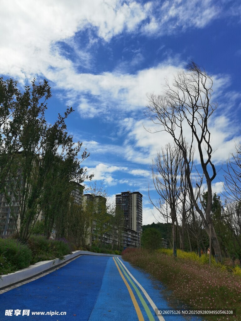 蓝色道路与蓝天白云景观