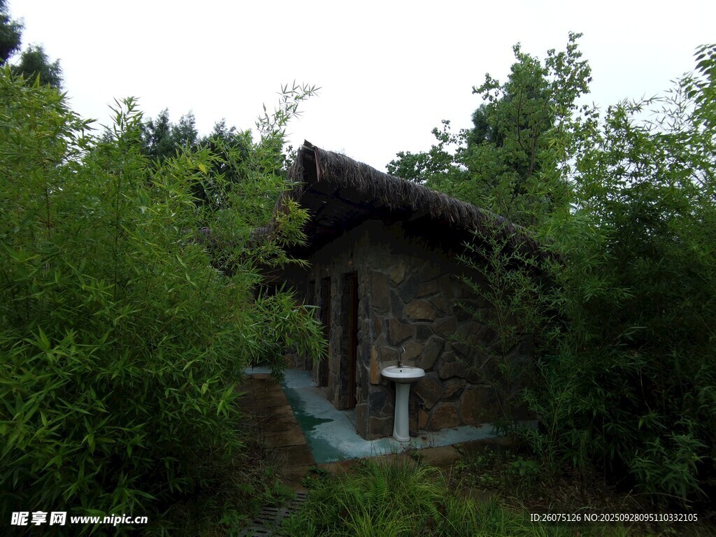 林间小屋隐于葱郁草木间