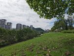城市边的翠绿草地景观