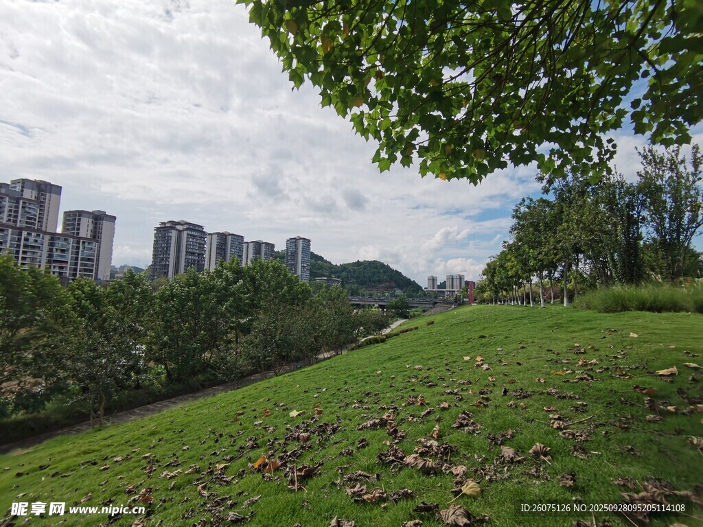 城市边的翠绿草地景观