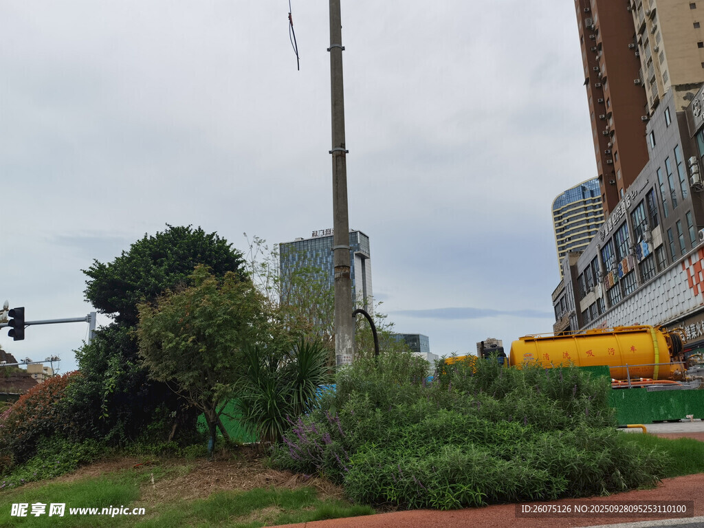 城市街角的绿植与设施