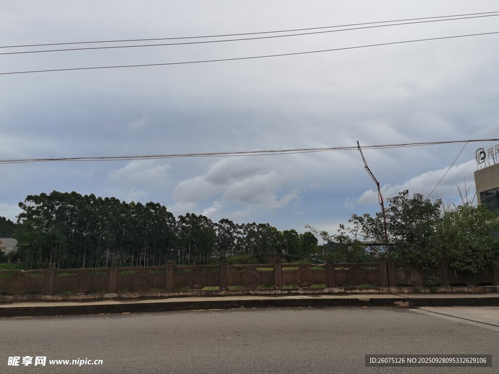 户外道路旁的树木与天空