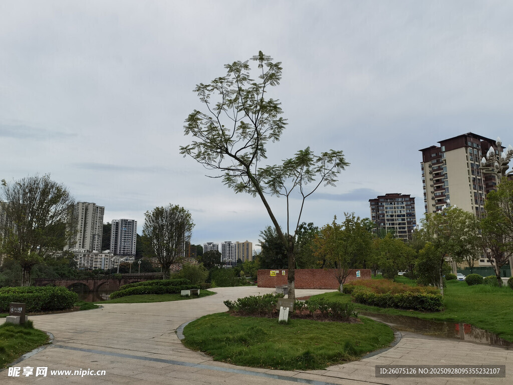 城市中的宁静公园景致