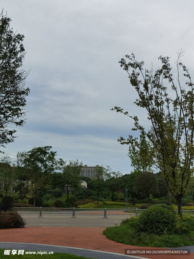 户外园林景观场景
