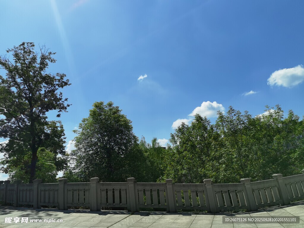 蓝天绿树旁的木质围栏