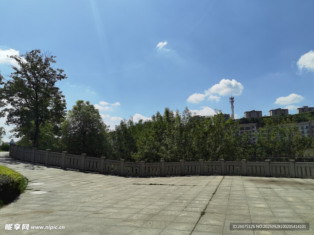 户外开阔空地与绿植景观