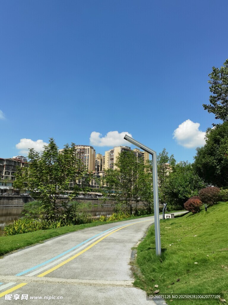 城市中的美丽林荫步道