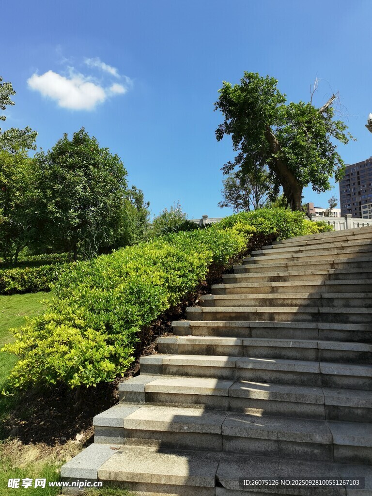 石阶小径通往绿意景致