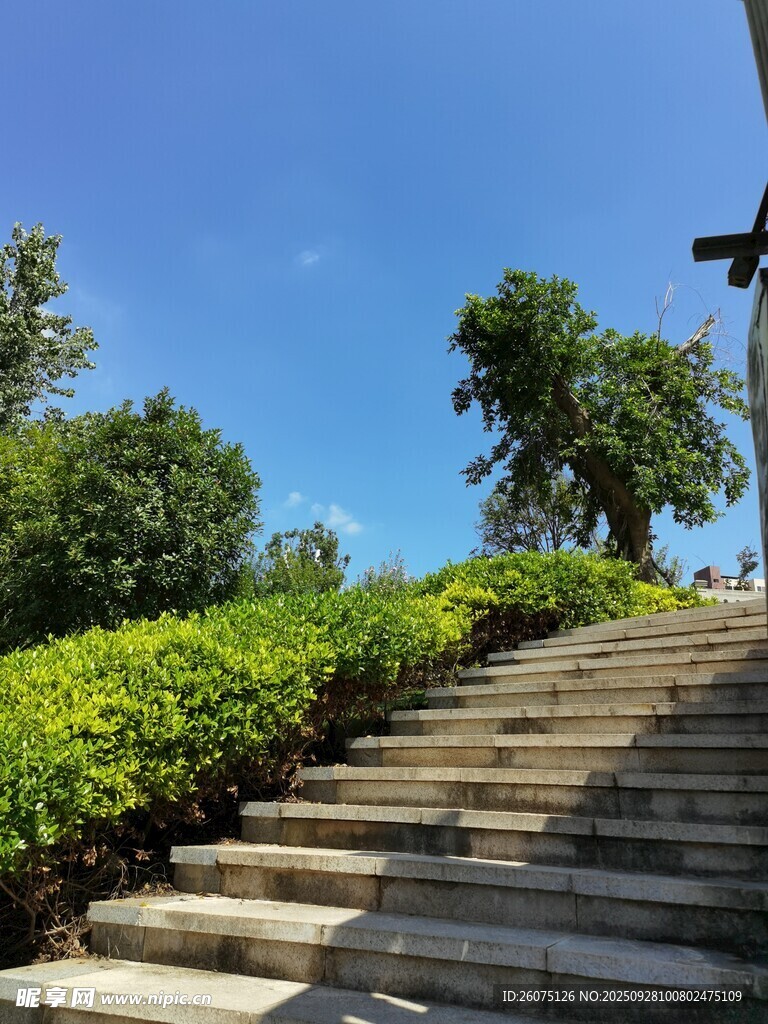 绿意盎然的石阶景观