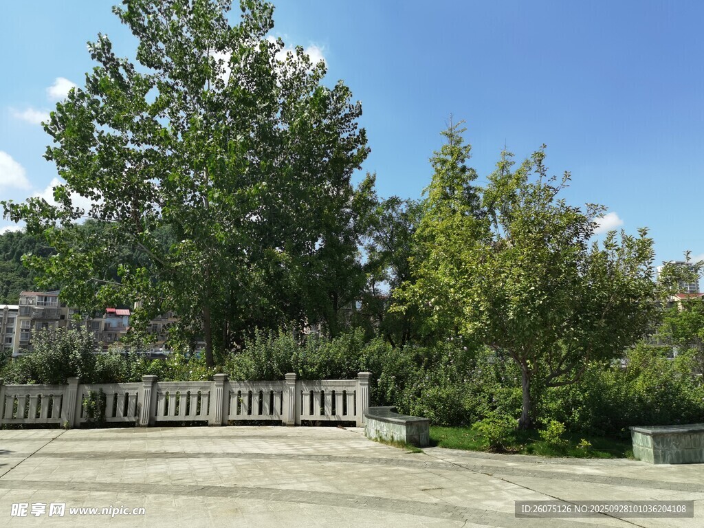 户外庭院绿植景观