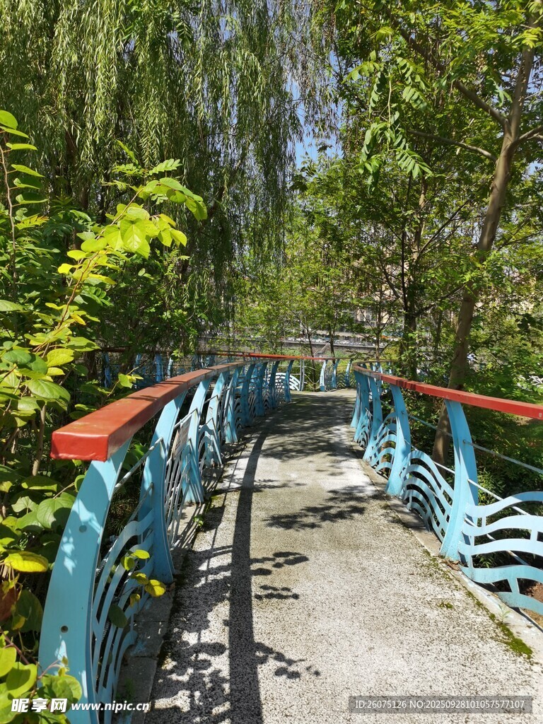 林间蓝桥漫步小径