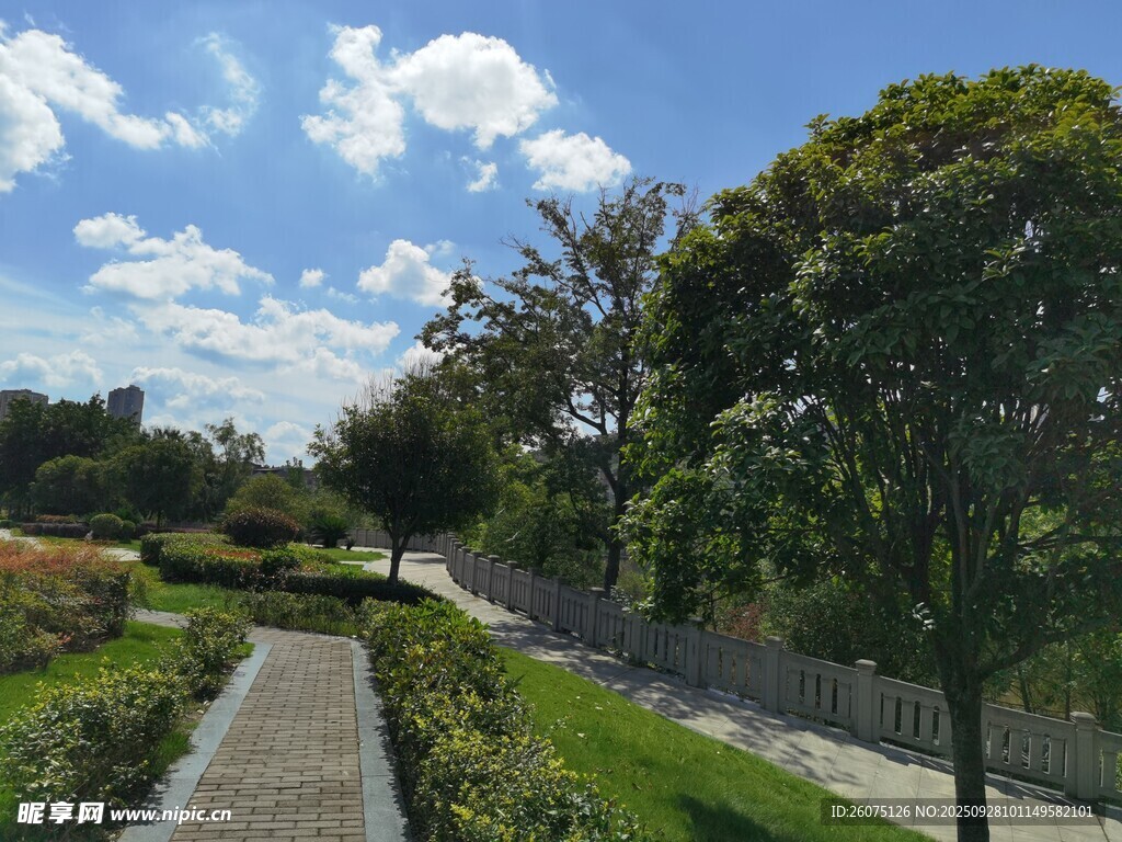 户外小路旁的绿植景观
